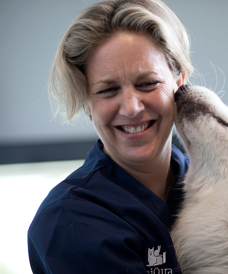 Vit hund slickar på en kvinnlig veterinär. Veterinären kramar om hunden och ler.