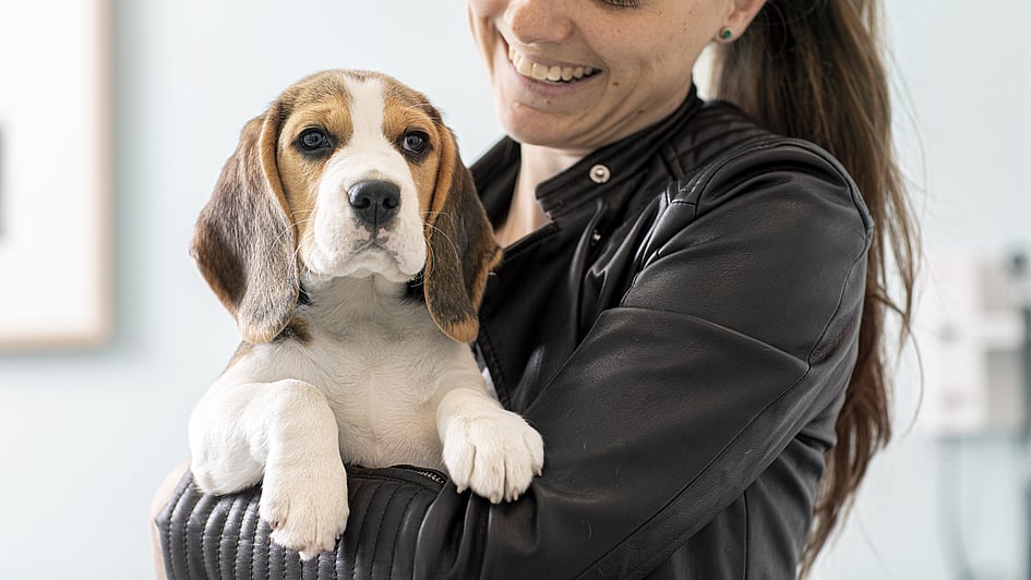 En person som håller en hund.