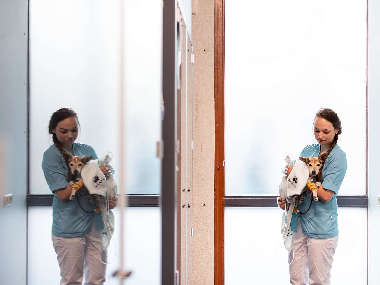 Nurse holding dog