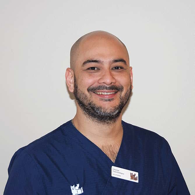 Crhystian Torres Rodriguez