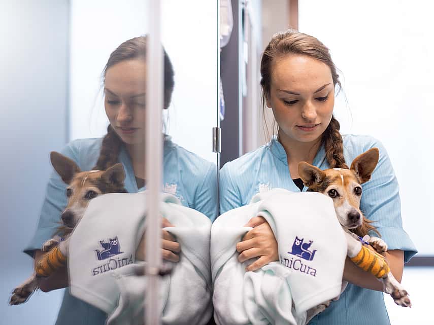 Veterinär håller om en hund som är inlindad i en vit filt.