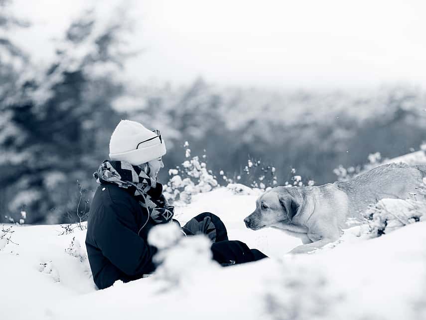 En hund och en person leker utomhus i snön.