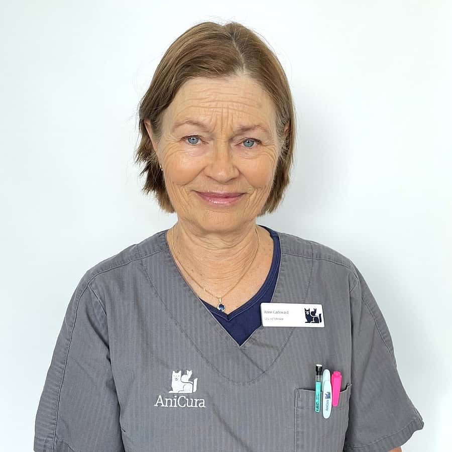 Anne