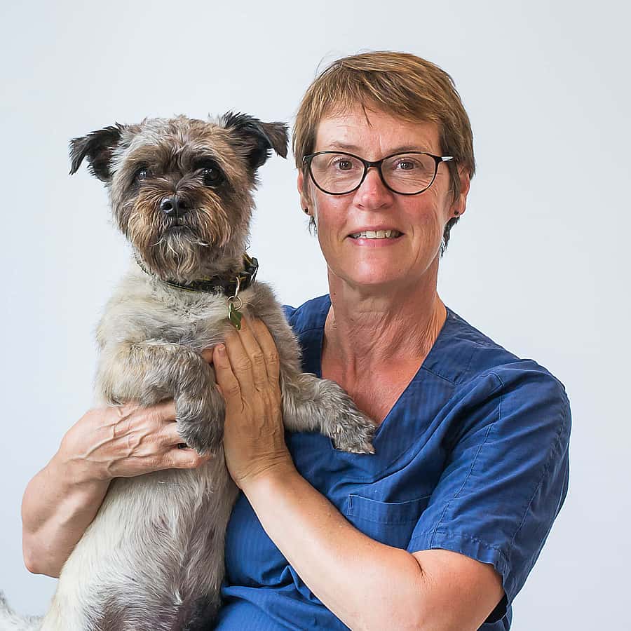 Birgitta