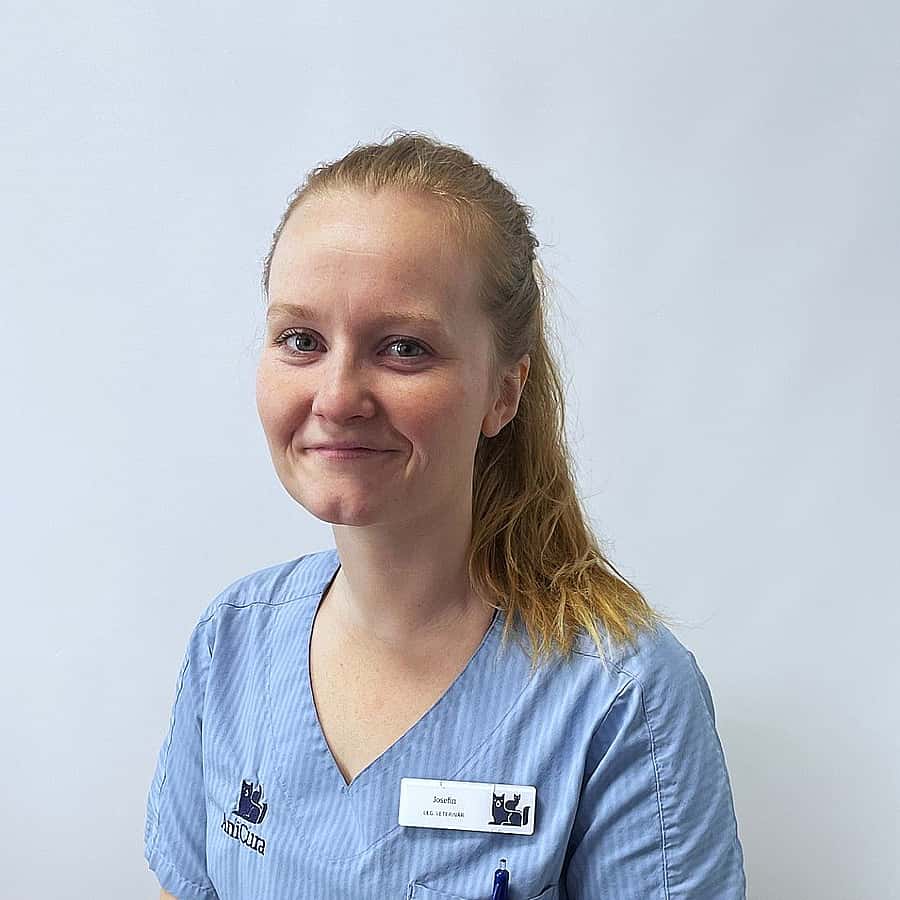 Josefin