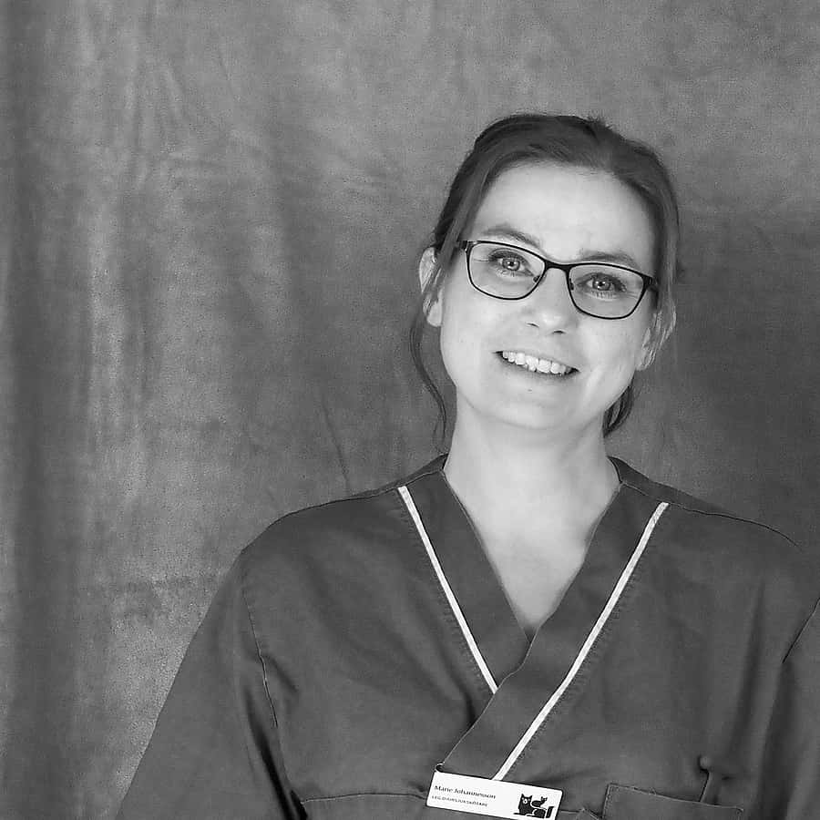 Marie Johannesson, legitimerad djursjukskötare och hygienansvarig.