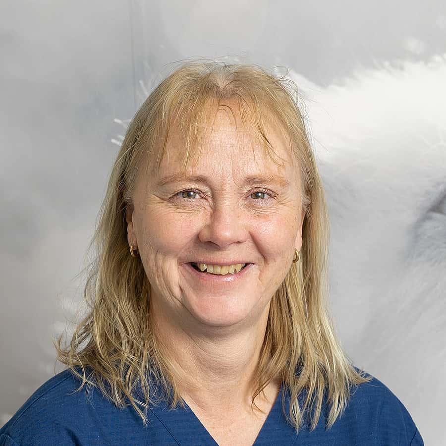 Susanna L