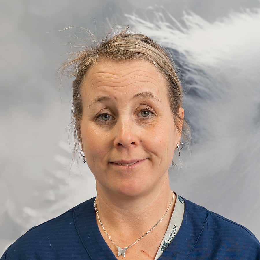 Sandra H