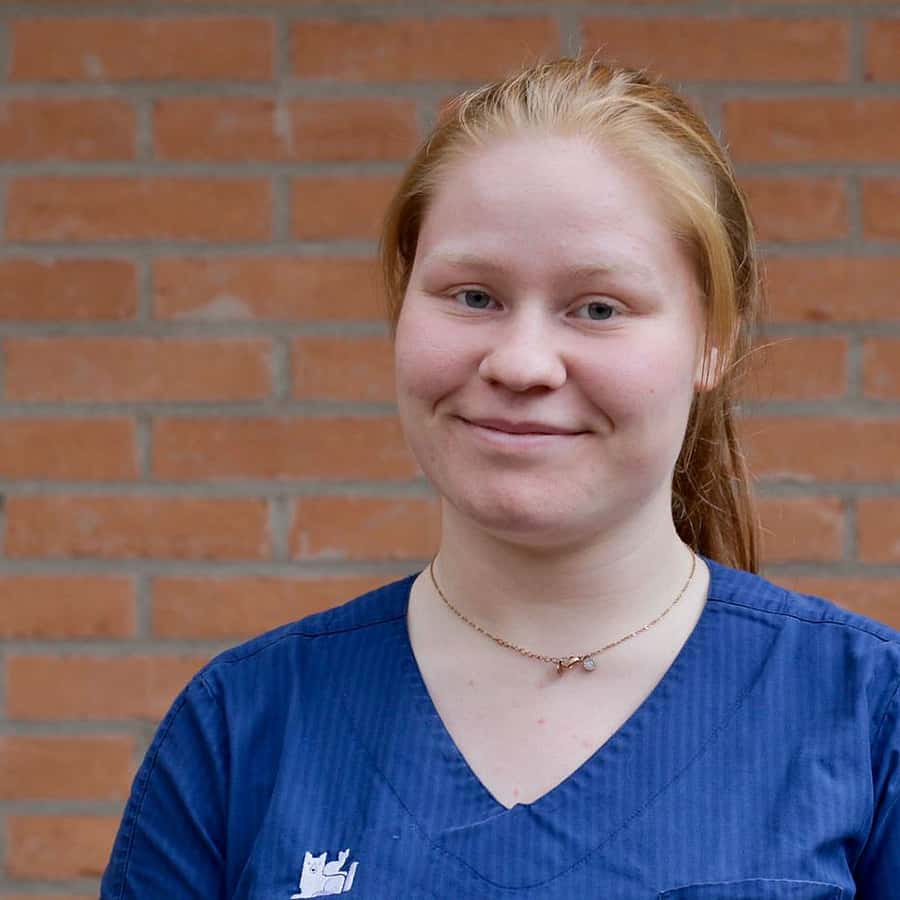 Julia Gardebäck