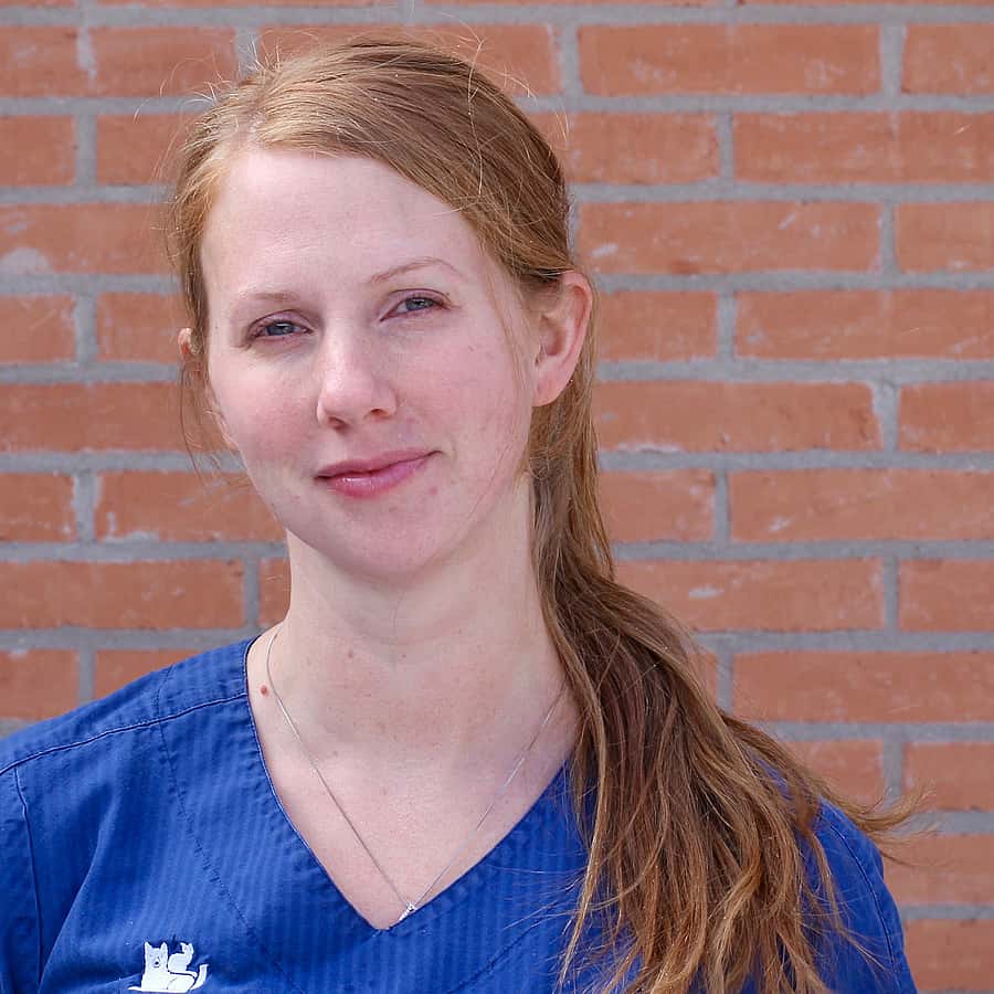 Lisa Jonsson