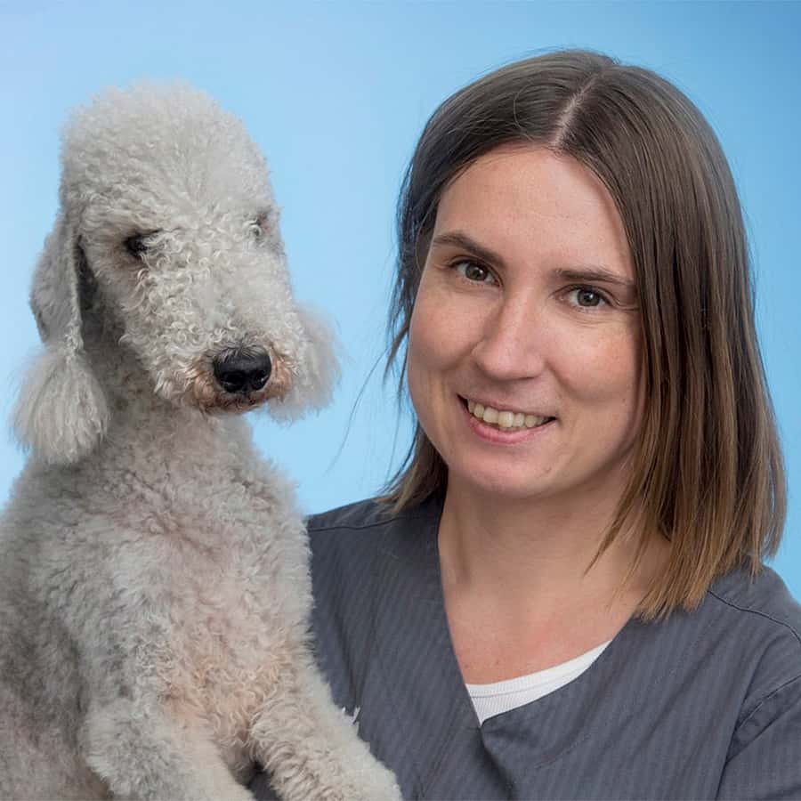 Mirjam Dagis Boström