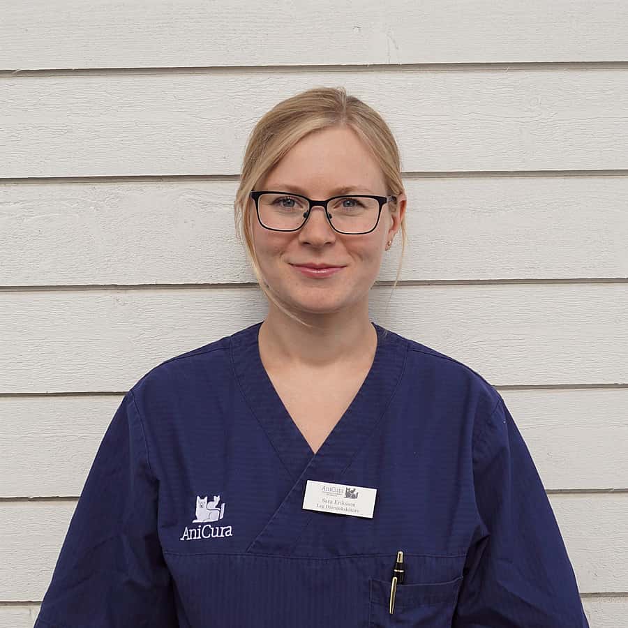 Sara Eriksson