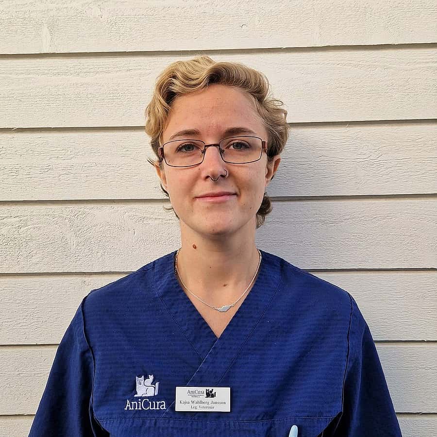 Kajsa Wahlberg Jansson