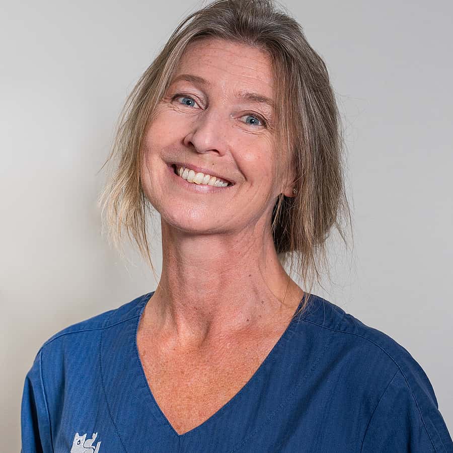 Anna Hofer