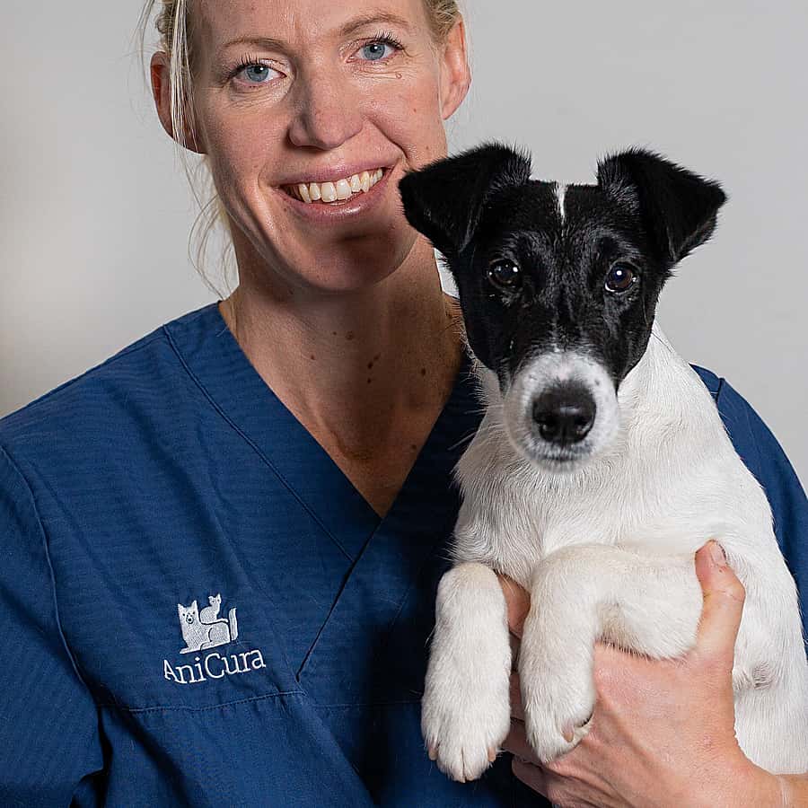 Jenny Rosenström 
