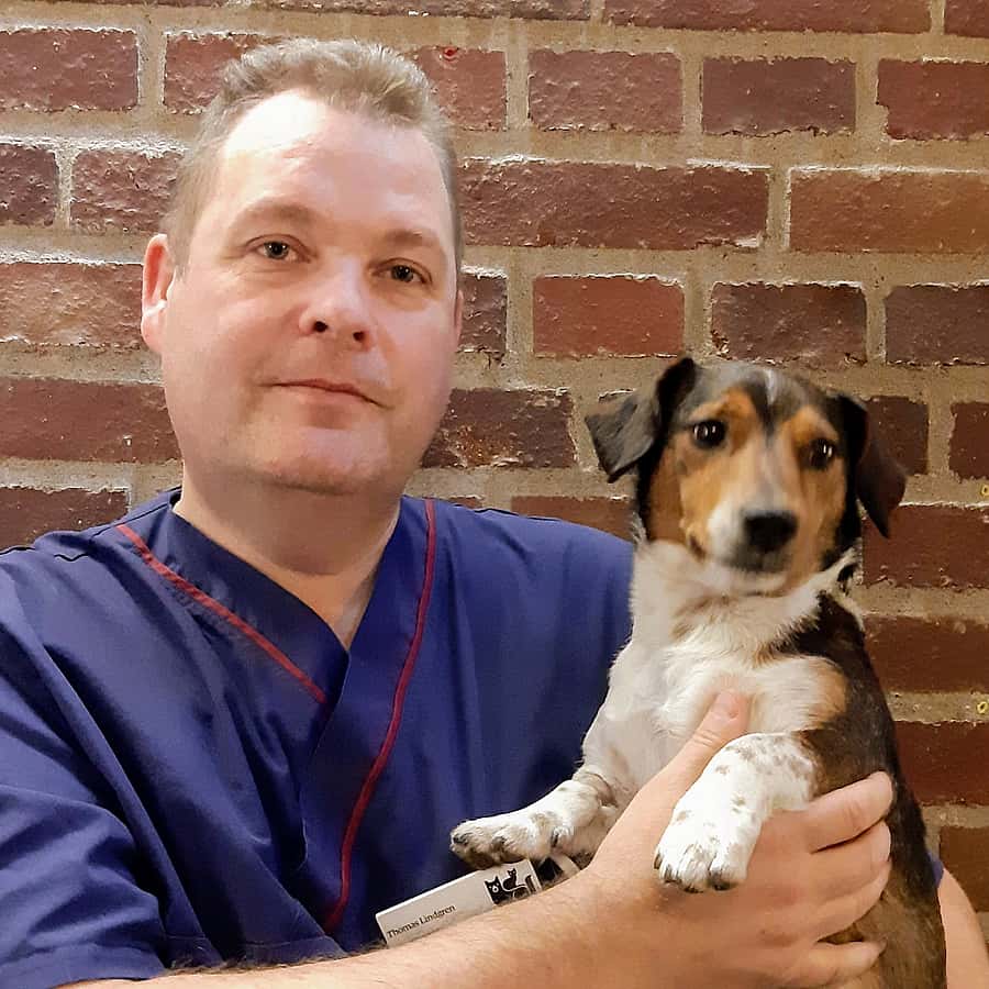 Thomas Lindgren, legitimerad veterinär och auktoriserad ögonlysare.