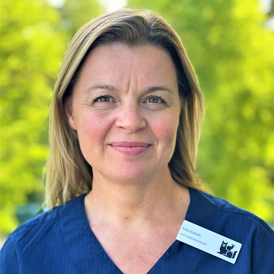 Erika Kalmér