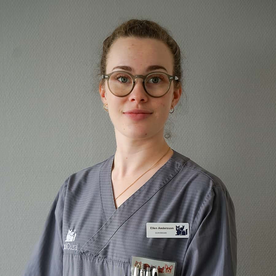 Ellen Andersson