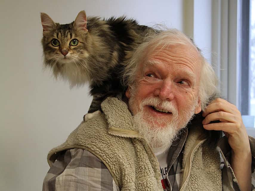 En långhårig katt står på en äldre mans axlar. Katten har vit mage, svartbrun randig päls, stora öron och gröna ögon. Katten tittar mot kameran och mannen skrattar och kollar på katten.