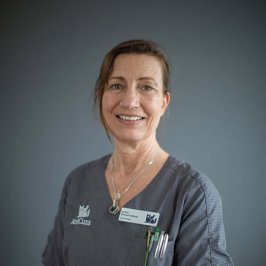 Katinka Hvitman-Graflund