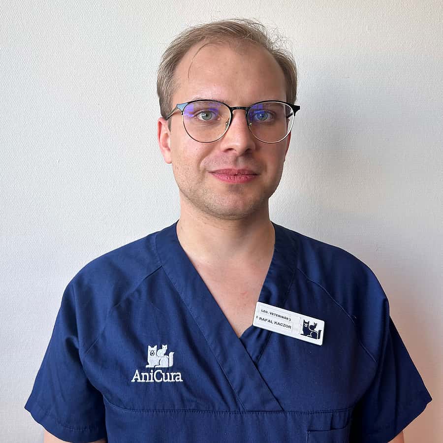 Rafal