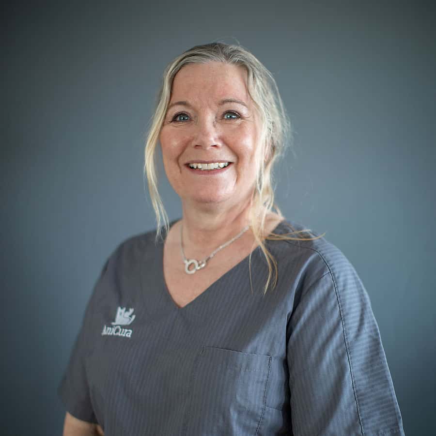 Anne Beijbom Persson