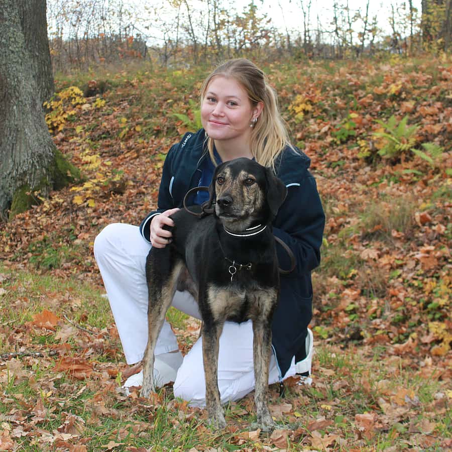Ida K Johansson, legitimerad veterinär.