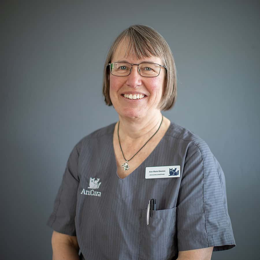Anne-Marie  Ekesten