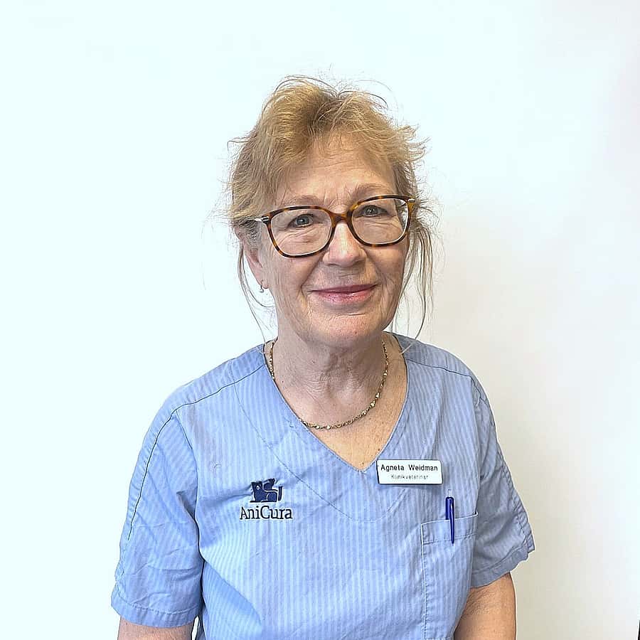 Agneta