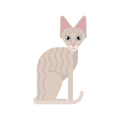 Teckning på en cornish rex.