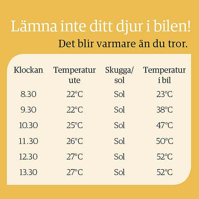 Tabell som visar hur temperaturen i bilen förändras i och med klockslag och temperaturen ute. Lämna inte ditt djur i bilen, det blir varmare än du tror.
