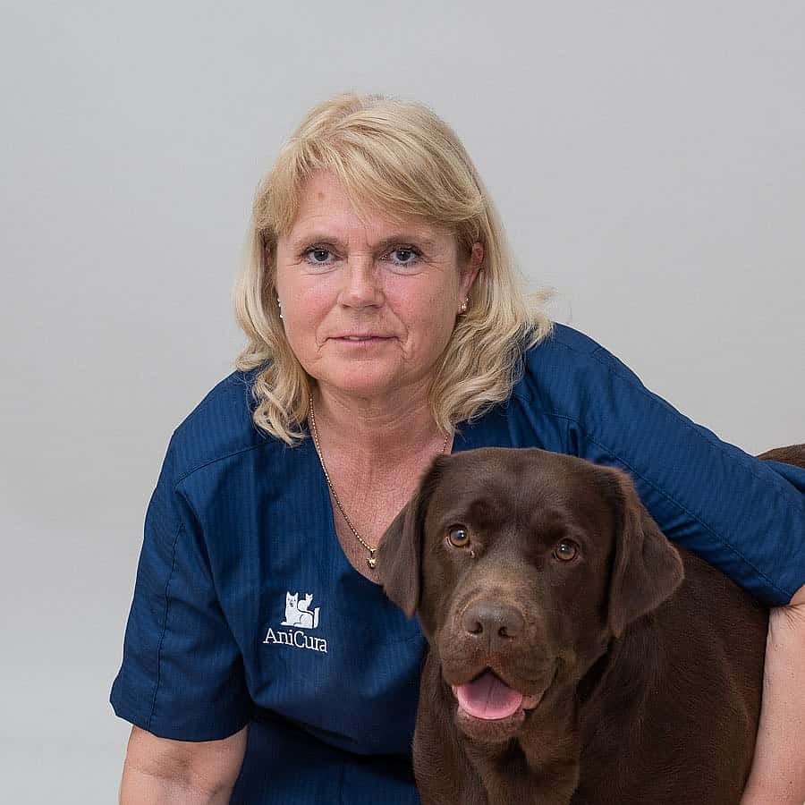 Maria Bergeå