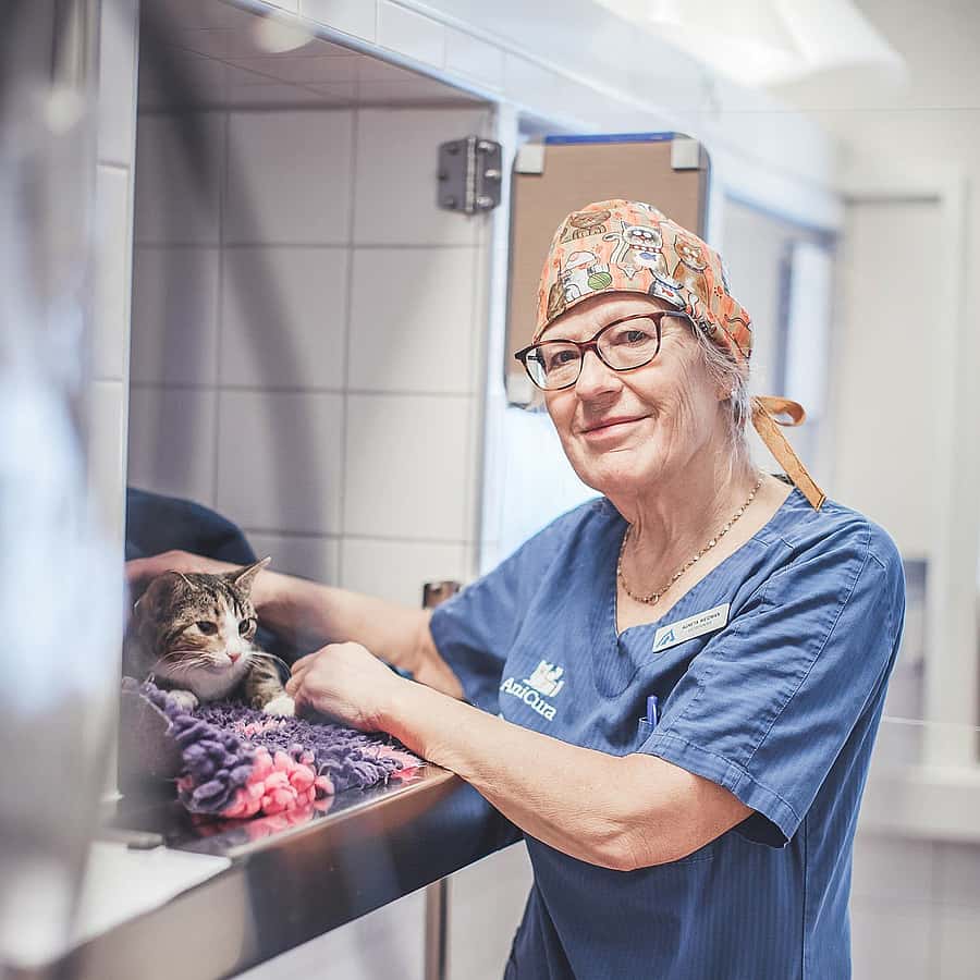 Agneta Weidman