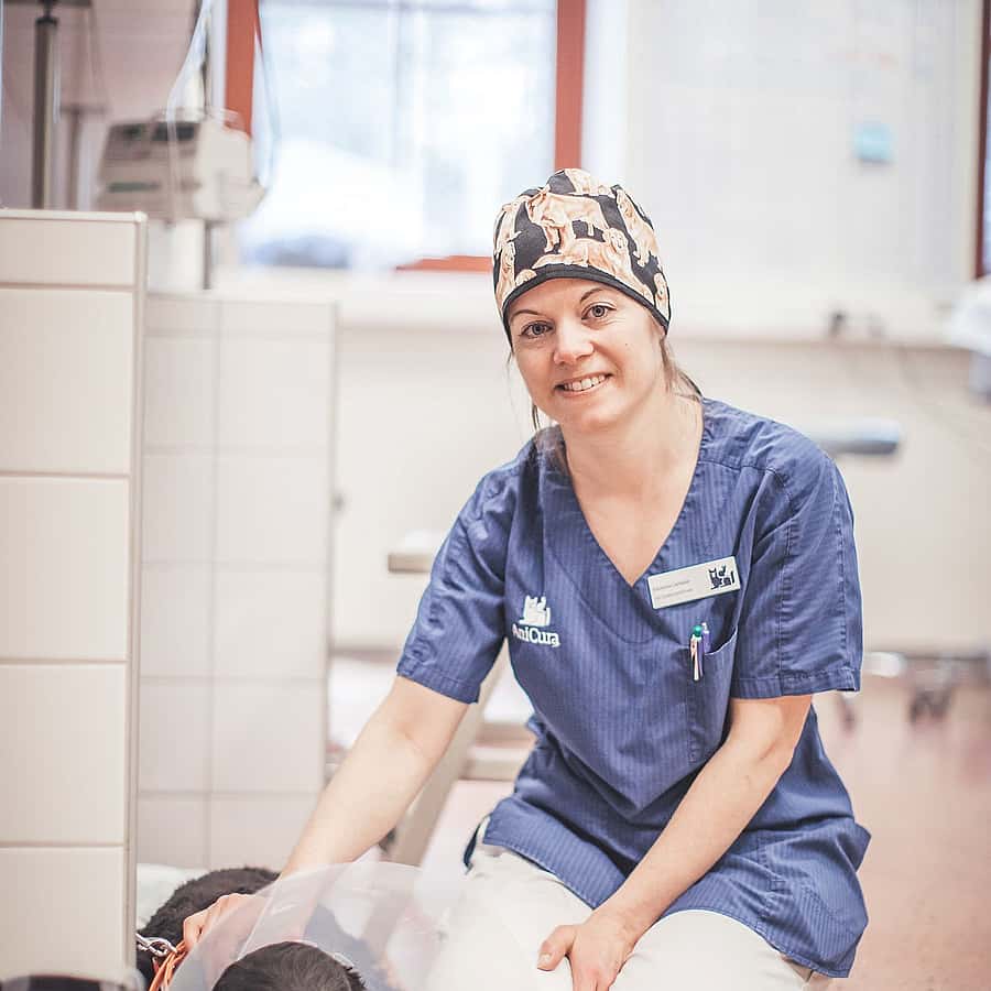Johanna Carlsson