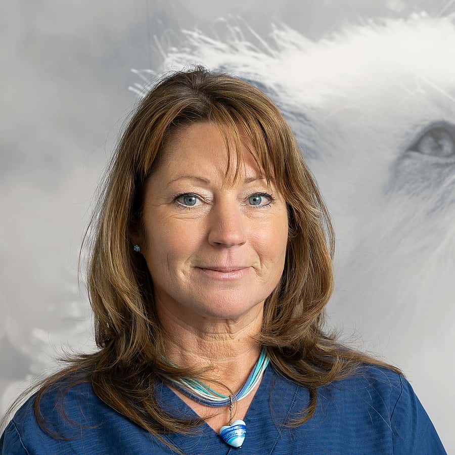 Lesley D