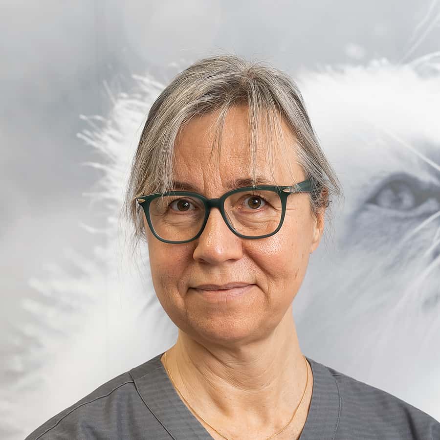 Maria D
