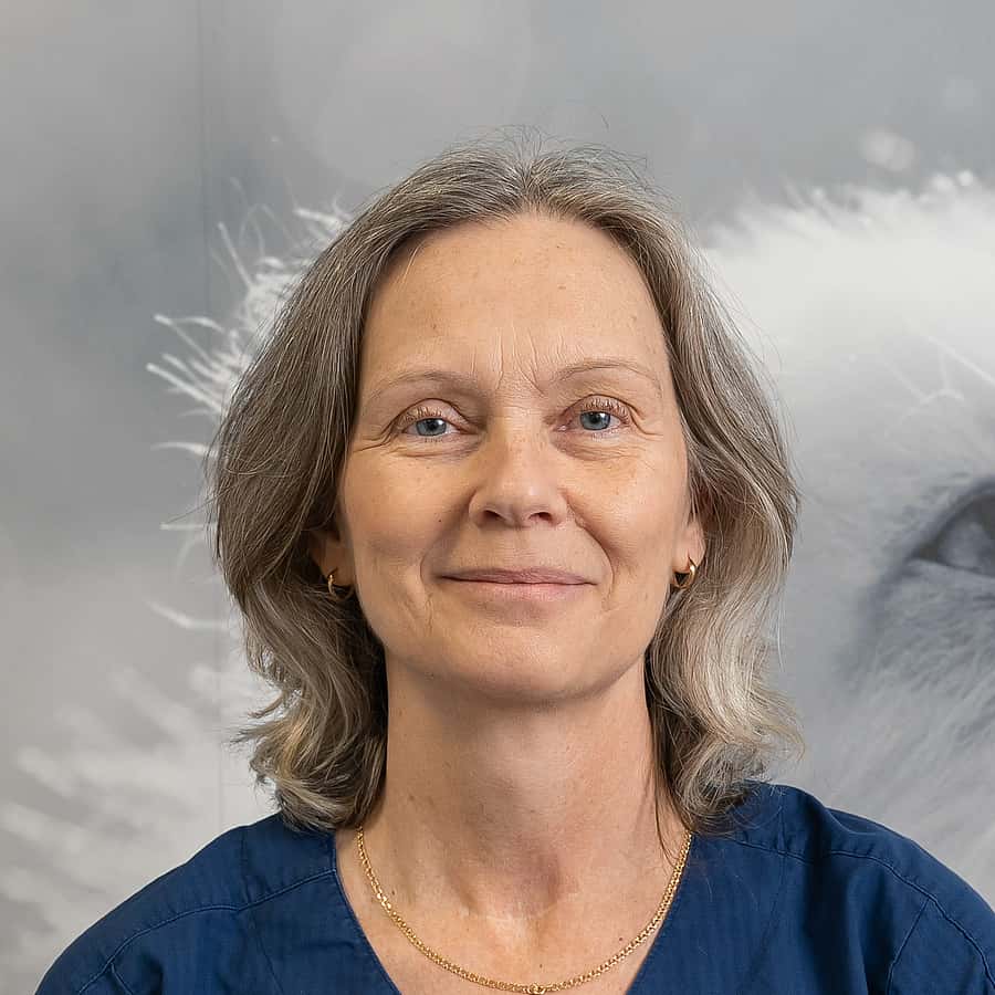Ulrika S