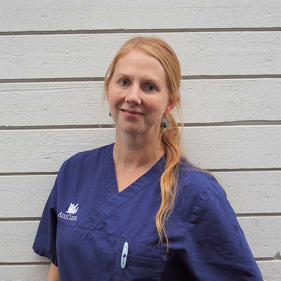 Lisa  Jonsson