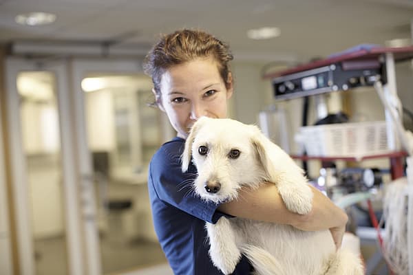 En kvinna iklädd veterinärkläder håller i en vit hund och ler mot kameran.