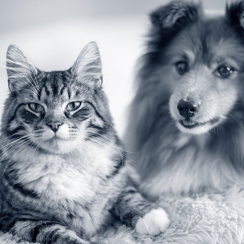 Foto av Malin, Tf. Klinikchef