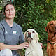 Foto av Ulrika, Legitimerad Veterinär Med Specialistkompetens