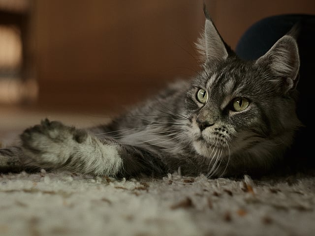 Två veterinärer pratar med varandra.