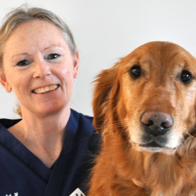 Foto av Elisabeth, Steriltekniker