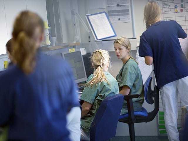 Veterinärer och sköterskor är samlade vid datorn och diskuterar.