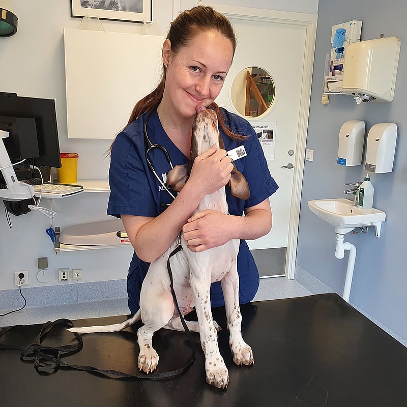 Foto av Johanna, Legitimerad Veterinär