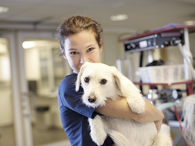 En kvinna håller om en hund.