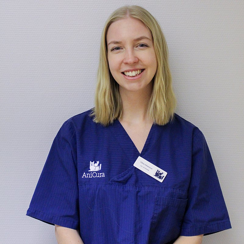 Foto av Vilma, Leg. Veterinär