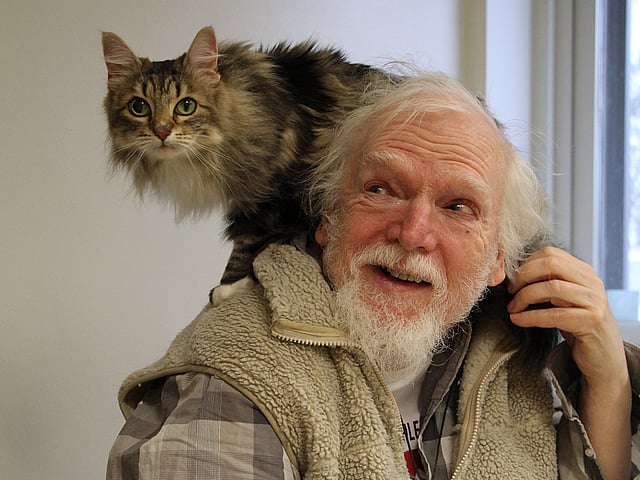 En långhårig katt står på en äldre mans axlar. Katten har vit mage, svartbrun randig päls, stora öron och gröna ögon. Katten tittar mot kameran och mannen skrattar och kollar på katten.