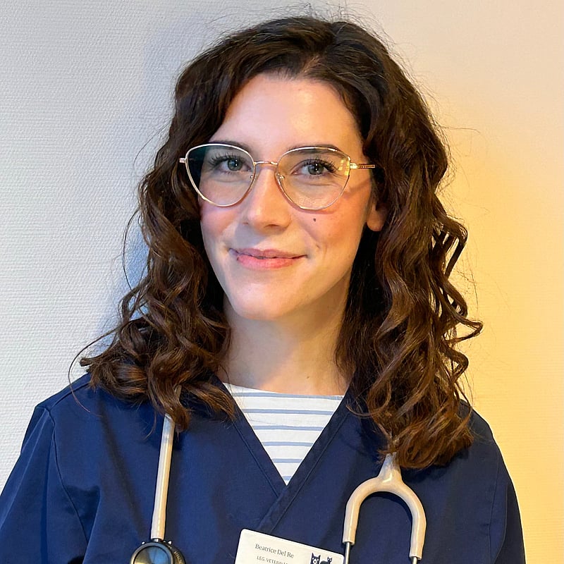 Foto av Beatrice, Legitimerad Veterinär