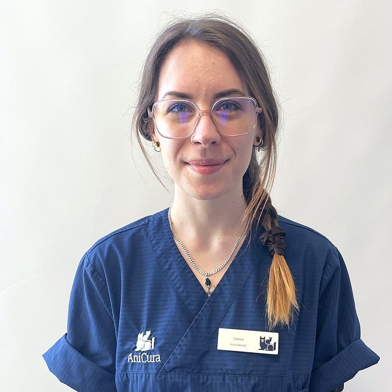 Foto av Linnea, Djurvårdare Nivå Iii